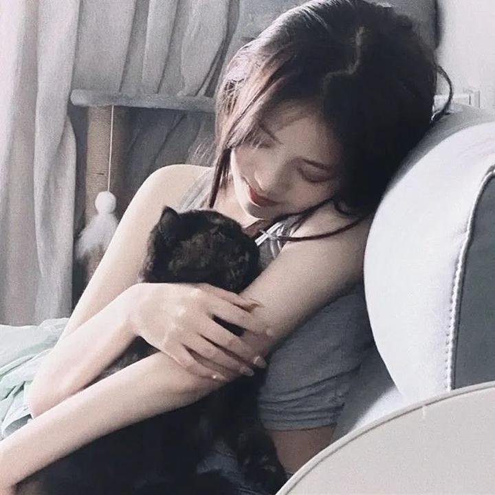 离狼之歌